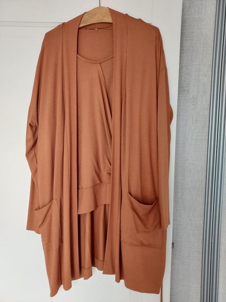 Yest vest en shirt maat 48, Kleding | Dames, Truien en Vesten, Nieuw, Maat 46/48 (XL) of groter, Bruin, Ophalen of Verzenden