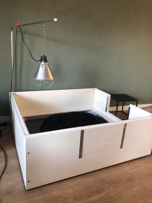 Zeer complete grote werpkist te huur: 140 x 120 cm, Dieren en Toebehoren, Hondenhokken, Zo goed als nieuw, Ophalen