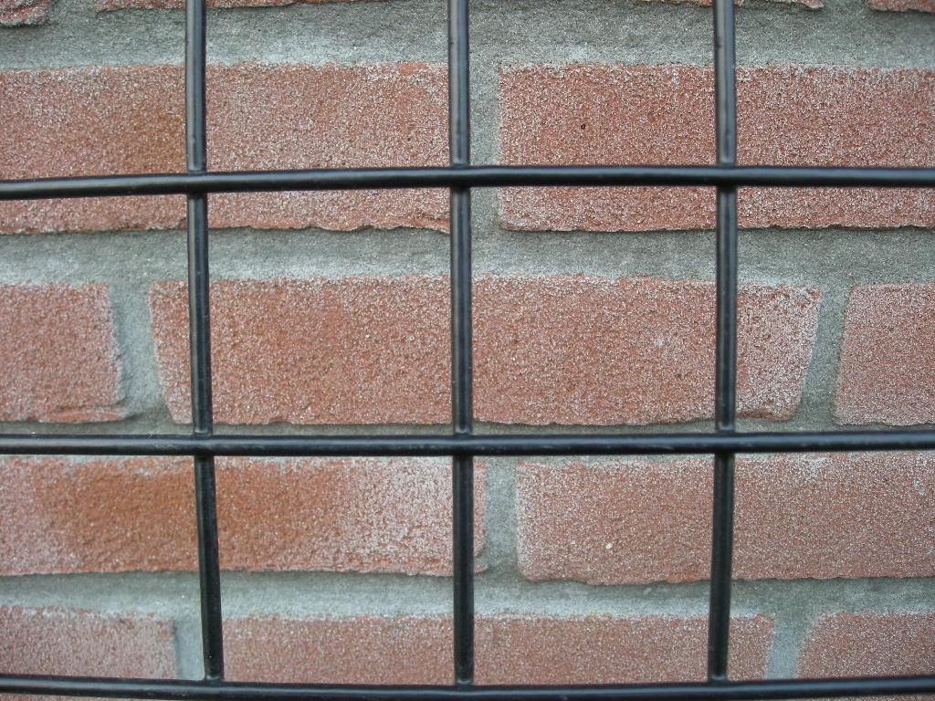 Draadmat, schutting, geplast. draadmatten 200cm x 100cm gaas, Tuin en Terras, Gaas en Draad, Nieuw, Raster, Minder dan 10 meter