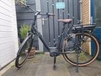 Pegasus elektrische fiets, Gebruikt, 51 tot 55 cm, 50 km per accu of meer, Ophalen
