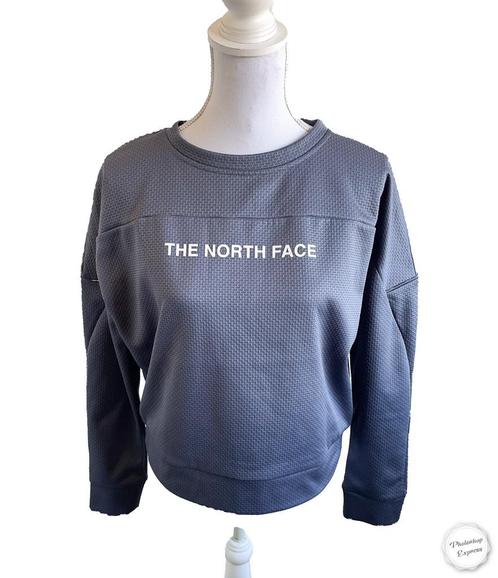 Mooie trui van the North Face L, Kleding | Dames, Truien en Vesten, Zo goed als nieuw, Maat 42/44 (L), Grijs, Ophalen of Verzenden
