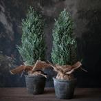Ceder ice boompje met jute in pot., Diversen, Kerst, Ophalen of Verzenden, Nieuw