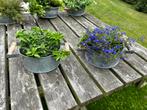 Zinken bakjes met houten handgreep, Ophalen, Gebruikt, Rond, Minder dan 25 cm