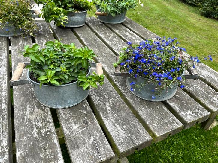 Zinken bakjes met houten handgreep, Tuin en Terras, Bloempotten, Gebruikt, Metaal, Minder dan 25 cm, Rond, Ophalen