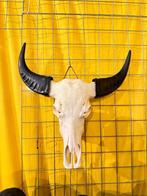 buffelschedel, echte buffel kop, gewei, Groot aanbod, Ophalen of Verzenden, Schedel