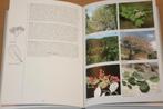 De Bomengids van Europa - ruim 400 kleurenfoto's, Boeken, Natuur, Ophalen of Verzenden, Zo goed als nieuw, Vogels