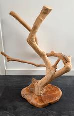 Te koop mooie javaboom., Dieren en Toebehoren, Vogels | Parkieten en Papegaaien, Meerdere dieren, Papegaai