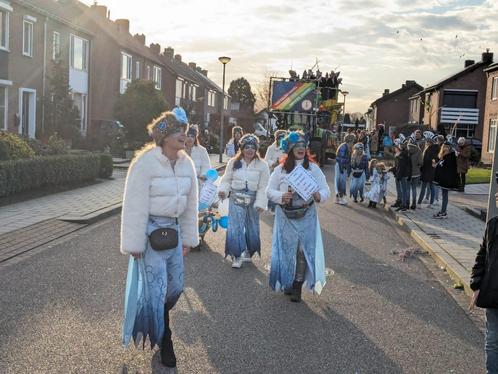 Carnavalsgroep, Kleding | Dames, Carnavalskleding en Feestkleding, Zo goed als nieuw, Kleding, Carnaval, Ophalen of Verzenden