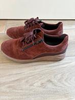 Solidus dames sneaker wijdte K model Kea 7 (maat 40,5), Nieuw, Ophalen of Verzenden, Sneakers of Gympen, Bruin
