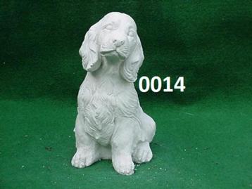 COCKER SPANIEL beschikbaar voor biedingen