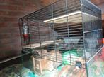 HAMSTERKOOI, Dieren en Toebehoren, Knaagdieren en Konijnen | Hokken en Kooien, Ophalen, Zo goed als nieuw, Kooi