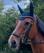 Anatomisch hoofdstel zwart maat full, Dieren en Toebehoren, Paarden en Pony's | Hoofdstellen en Tuigage, Ophalen of Verzenden