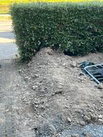 Grond , gratis af halen (ongeveer 1 kub), Tuin en Terras, Zand, Ophalen, Gebruikt, Overige typen