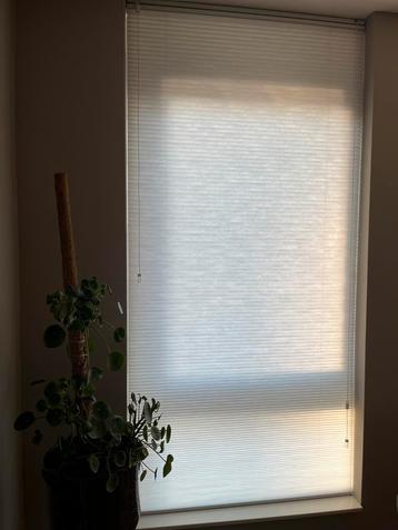 Veneta Plissé gordijnen Top Down-Bottom Up 207,5 cm hoog beschikbaar voor biedingen