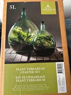Terrarium, Huis en Inrichting, Kamerplanten, Ophalen, Overige soorten, Minder dan 100 cm