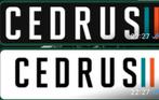 Project Cedrus carbon universele masten wingfoil importeur, Watersport en Boten, Minder dan 250 cm, Info@surfroute.nl, Ophalen of Verzenden