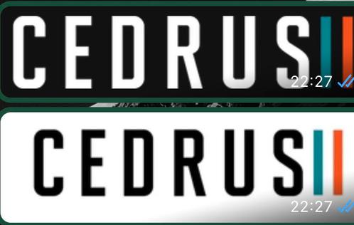Project Cedrus carbon universele masten wingfoil importeur, Watersport en Boten, Windsurfen, Nieuw, Mast, Minder dan 250 cm, Minder dan 5 m²