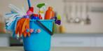 Aangeboden, ervaren schoonmaakster, Vacatures, Vacatures | Schoonmaak en Facilitaire diensten