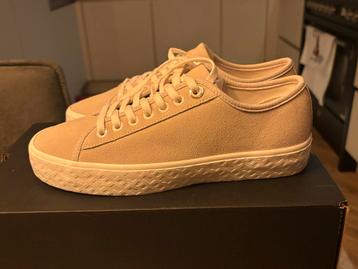 Hugo Boss Gympen - Nieuw in Doos - Maat 38 1/2 beschikbaar voor biedingen