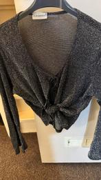 te k. prachtig glanzend vest, maat is geschikt voor iedereen, Ophalen of Verzenden, Zo goed als nieuw, Maat 38/40 (M)