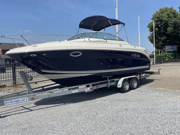 Sea Ray 250 - Mercruiser 350 Magnum - V8 beschikbaar voor biedingen