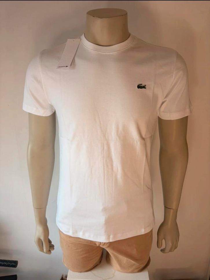 Lacoste T-shirt - Nieuw - XL, Kleding | Heren, T-shirts, Nieuw, Overige maten, Wit, Ophalen of Verzenden