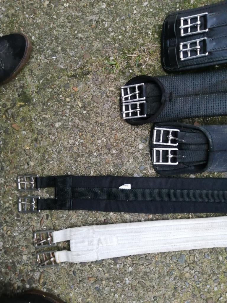 Singels dressuur en veelzijdig anatomisch, Dieren en Toebehoren, Ophalen of Verzenden, Zo goed als nieuw, Dressuur