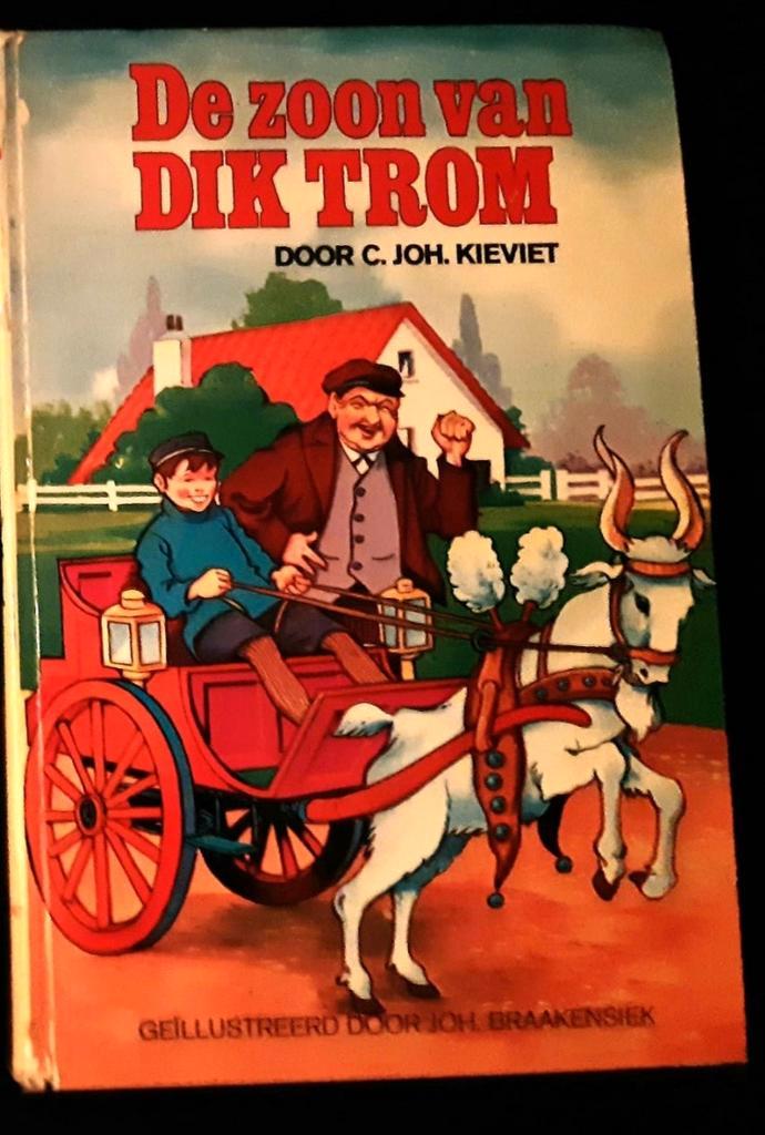 De Zoon van DIK TROM, Boeken, Kinderboeken | Jeugd | 10 tot 12 jaar, Zo goed als nieuw, Ophalen of Verzenden
