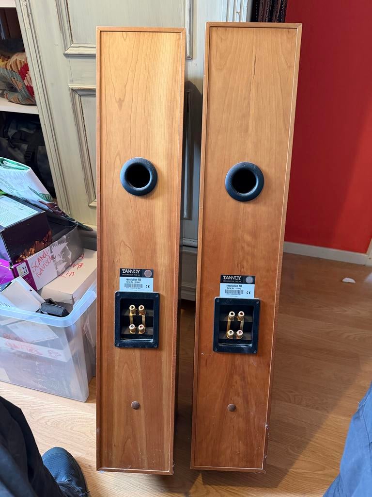 Tannoy Revolution R2 Vloerstaande Luidsprekers, Audio, Tv en Foto, Luidsprekers, Gebruikt, 60 tot 120 watt, Front, Rear of Stereo speakers