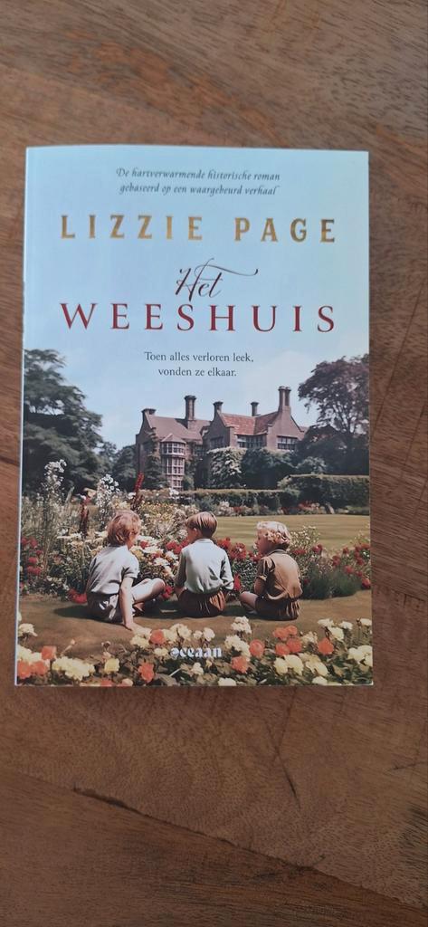 LIZZIE PAGE - Het weeshuis, Boeken, Historische romans, Gelezen, Ophalen of Verzenden