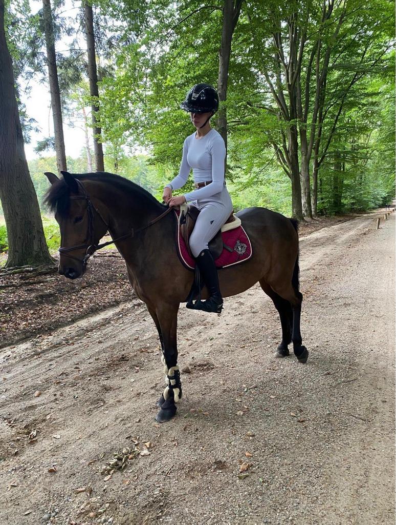 Knappe, lieve pony met mooie kwaliteiten, Dieren en Toebehoren, Pony's, Met stamboom, Ruin, Dressuurpony, 3 tot 6 jaar