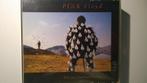 Pink Floyd - Delicate Sound Of Thunder, Cd's en Dvd's, Cd's | Rock, Ophalen of Verzenden, Zo goed als nieuw, Poprock