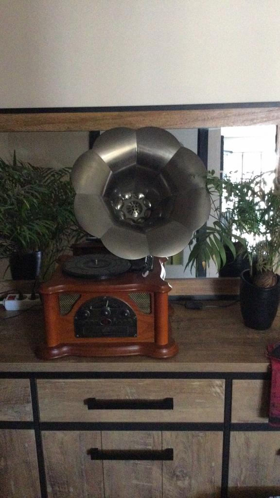 Grammofoon, Antiek en Kunst, Antiek | Tv's en Audio, Ophalen of Verzenden