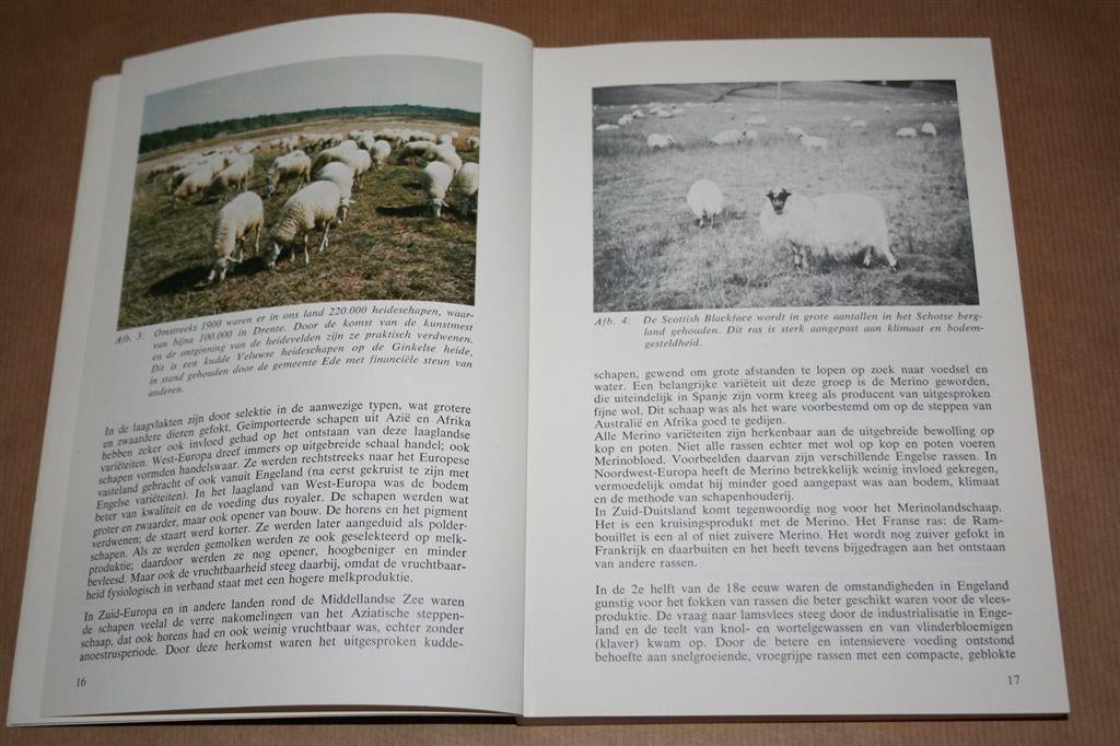 Schapenteelt en -ziekten — Groene Reeks — 1978, Ophalen of Verzenden, Gelezen
