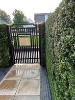 Tuinpoort, Tuin en Terras, Ophalen, Gebruikt, Draaipoort, 150 tot 200 cm