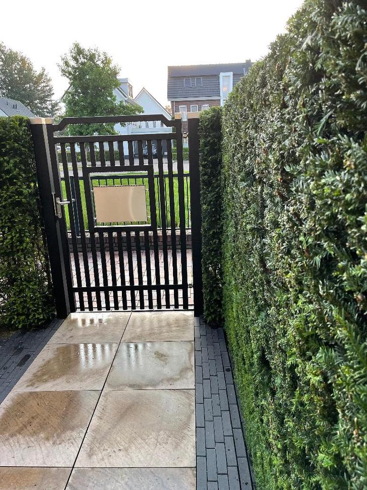 Tuinpoort, Tuin en Terras, Tuinpoorten, Gebruikt, Draaipoort, Staal, 150 tot 200 cm, 100 tot 150 cm, Ophalen