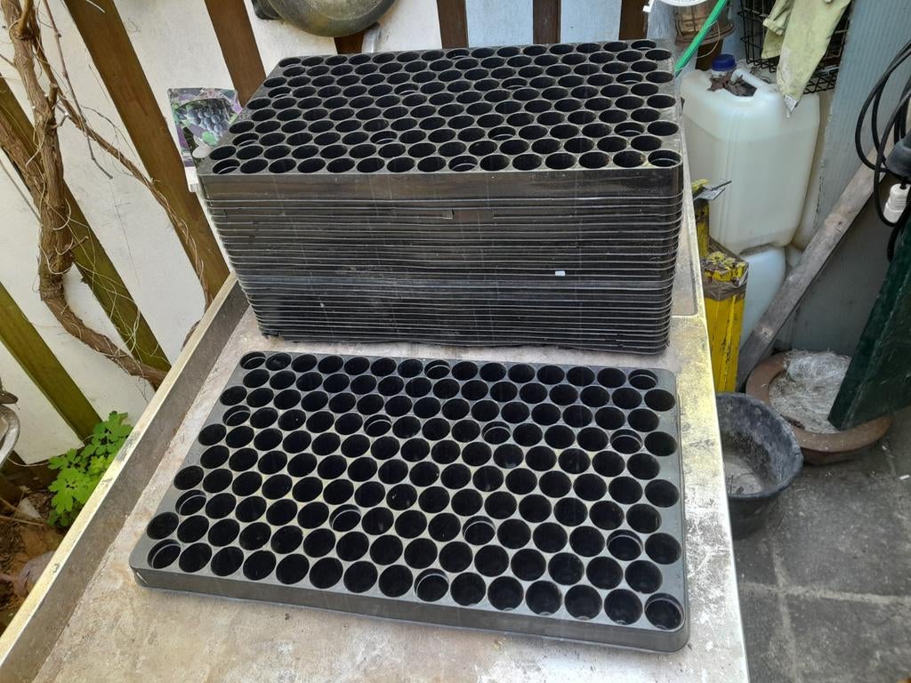 Zaaitray, kweektray, stektray, Tuin en Terras, Ophalen of Verzenden, Nieuw