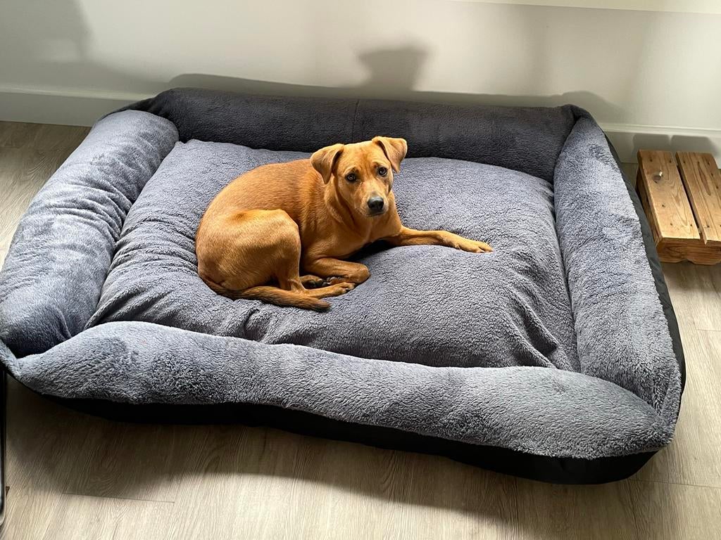 XXL grijze hondenmand / hondenbed, Ophalen of Verzenden, Gebruikt