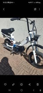 Tomos flexer - Recentelijk gerestaureerd, Ophalen, Zo goed als nieuw, 1 versnellingen, 50 cc