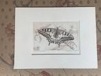 Ets van een vlinder ‘Koninginnepage’uit 1980 en gesigneerd, Antiek en Kunst, Kunst | Etsen en Gravures, Ophalen of Verzenden