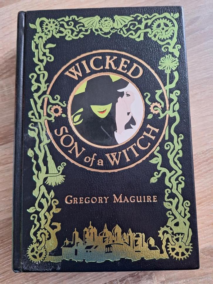 Learherbound Wicked son of a witch Barnes and noble, Boeken, Fantasy, Zo goed als nieuw, Ophalen of Verzenden