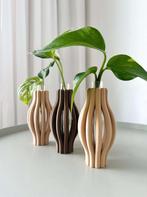 NEMI Stekhouder – Set van 3  – Stekjeshouder – Binnenplant, Ophalen of Verzenden, Halfschaduw, Minder dan 100 cm