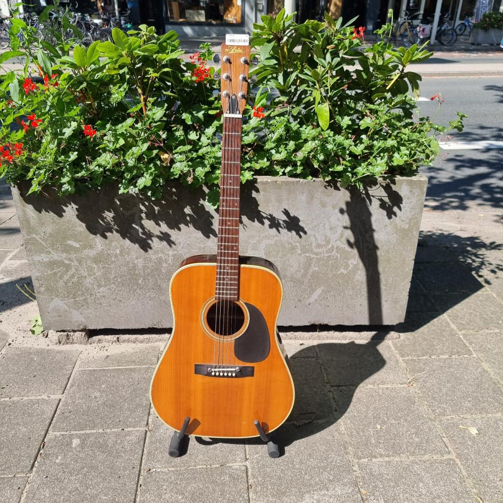 Aria 9220DM Akoestische Gitaar, Flex Ltd., Gebruikt, https://flex.com/contact-us, Nobelstraat 10, 5807 GA Oostrum LB, Limburg, Nederland