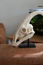 3D geprinte replica Parasaurolophus schedel, Ophalen of Verzenden, Schedel