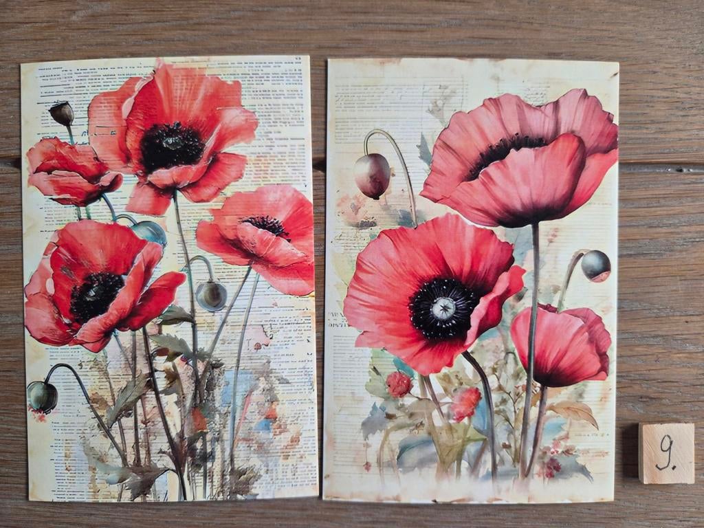 KLAPROOS BLOEM 9, Ophalen, Overige thema's