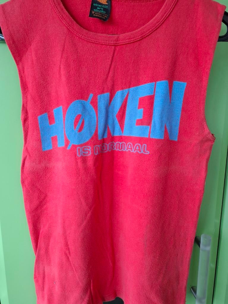 Høken is normaal shirt., Kleding | Heren, T-shirts, Ophalen of Verzenden, Gedragen