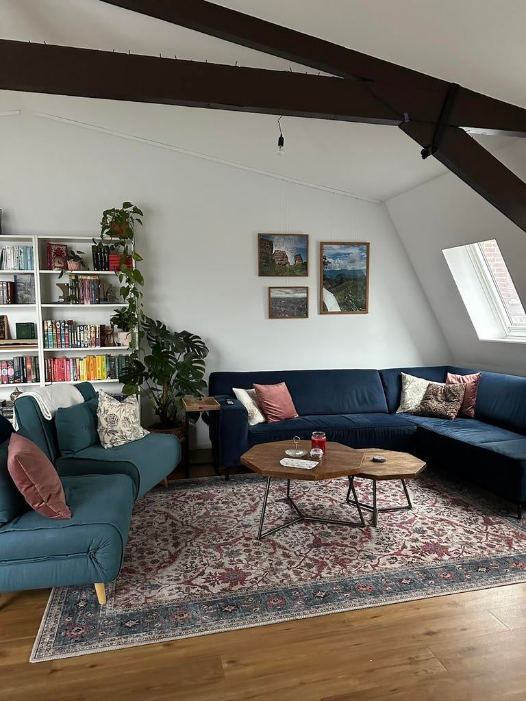 Enyhom Vintage vloerkleed woonkamer, 160 x 230 cm, groot, zacht, voor slaapkamer, slipvast, kortpolig, afwasbaar, verweerd keukenvloerkleed, voor kinderkamer, badkamer, vintage groenblauw