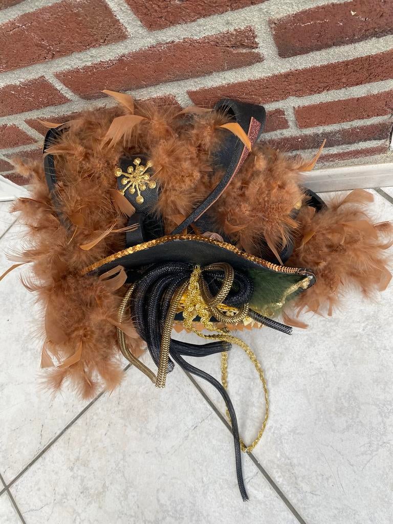 Carnavals hoed, Ophalen of Verzenden, Zo goed als nieuw, Carnaval