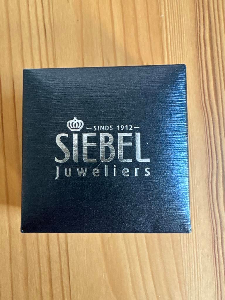 Gouden oorbellen Siebel Juweliers, Overige materialen, Verzenden, Nieuw, Met edelsteen