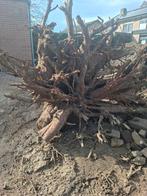 Boomstronk, Tuin en Terras, Haardhout, Minder dan 3 m³, Ophalen of Verzenden